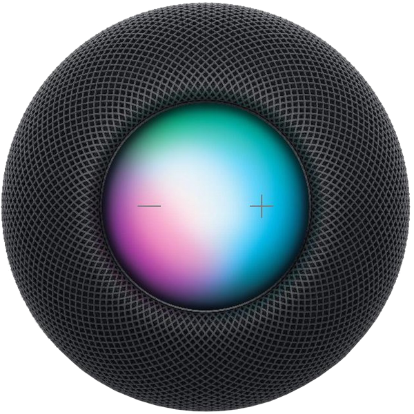 Refurbished Apple HomePod Mini | Gris Sidéral
