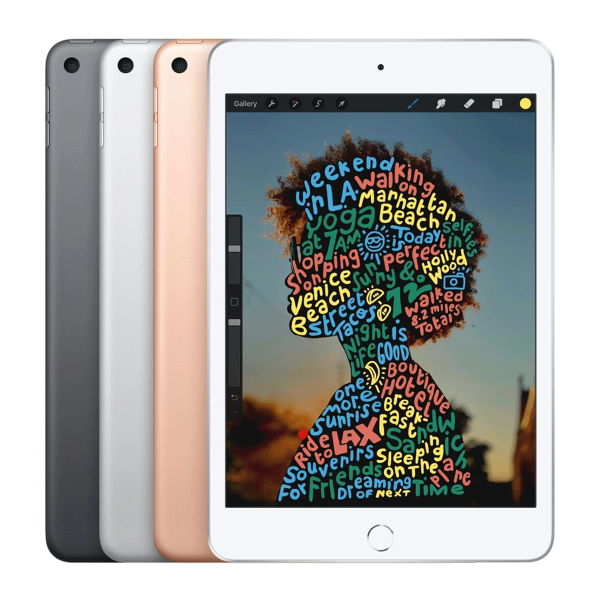 Refurbished iPad mini 5 256GB WiFi + 4G Argent | Hors câble et chargeur