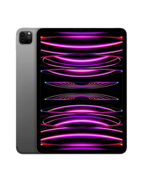 Refurbished iPad Pro 11-inch 256GB WiFi + 5G Gris sideral (2022)