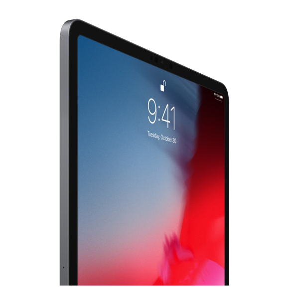 Refurbished iPad Pro 12.9 1TB WiFi + 4G Gris Sidéral (2018) | Hors câble et chargeur